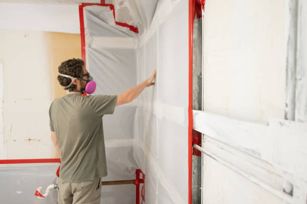Best Real Estate Mold Inspection  in Canastota, NY