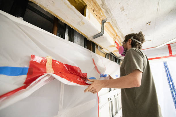 Best Basement Mold Removal  in Canastota, NY